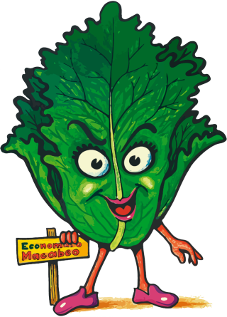 Las lechuga, cogollos y escarola bocabajo