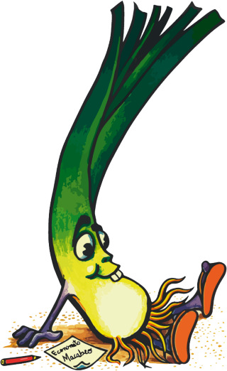 Hay muchas variedades de acelga